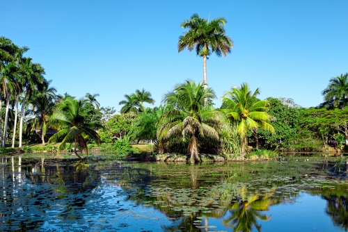 Ciénaga de Zapata - Top 10 bezienswaardigheden Cuba