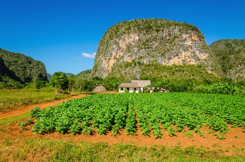 De Vallei van Viñales - Top 10 bezienswaardigheden Cuba