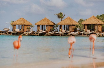 Renaissance Aruba All Inclusive resort